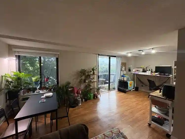 Lease renewal, new roommate needed