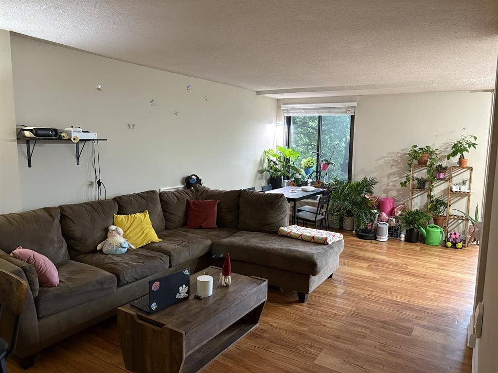 Lease renewal, new roommate needed