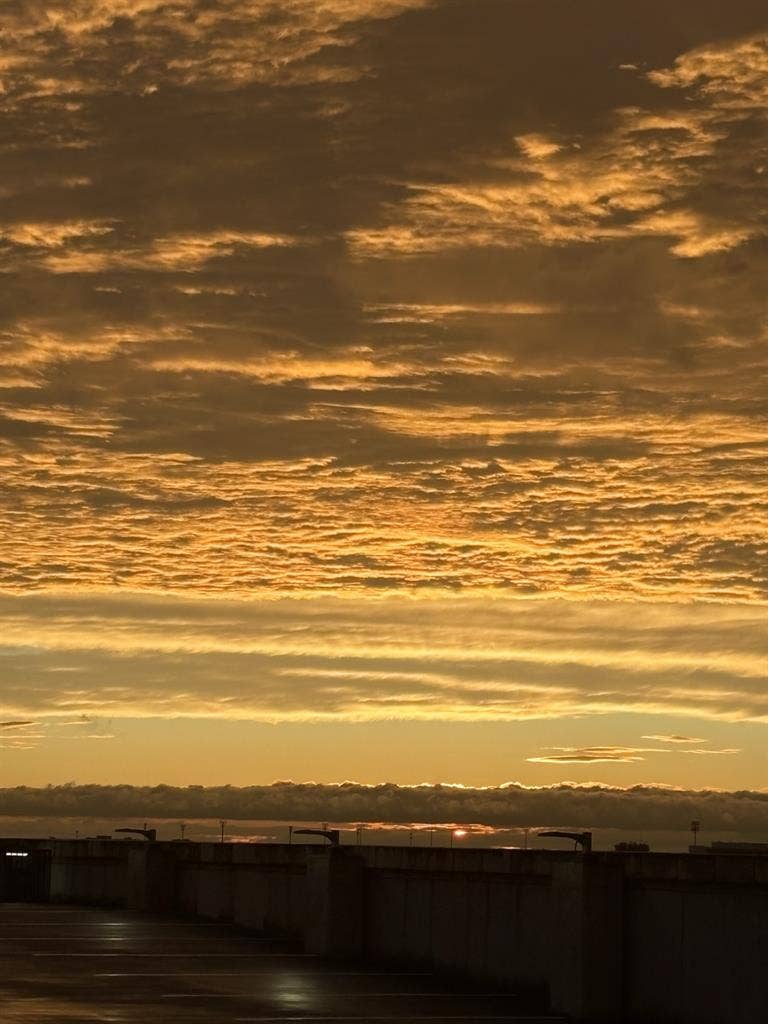 Subleaser needed! Spring !