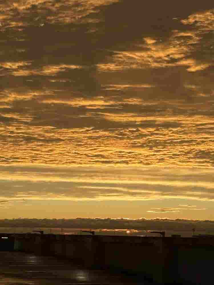 Subleaser needed! Spring !