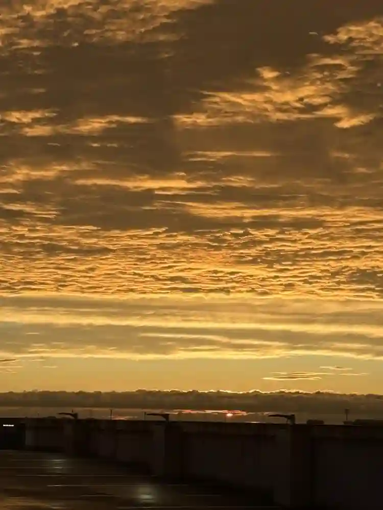 Subleaser needed! Spring !