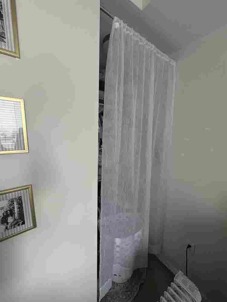 Subleaser needed! Spring !