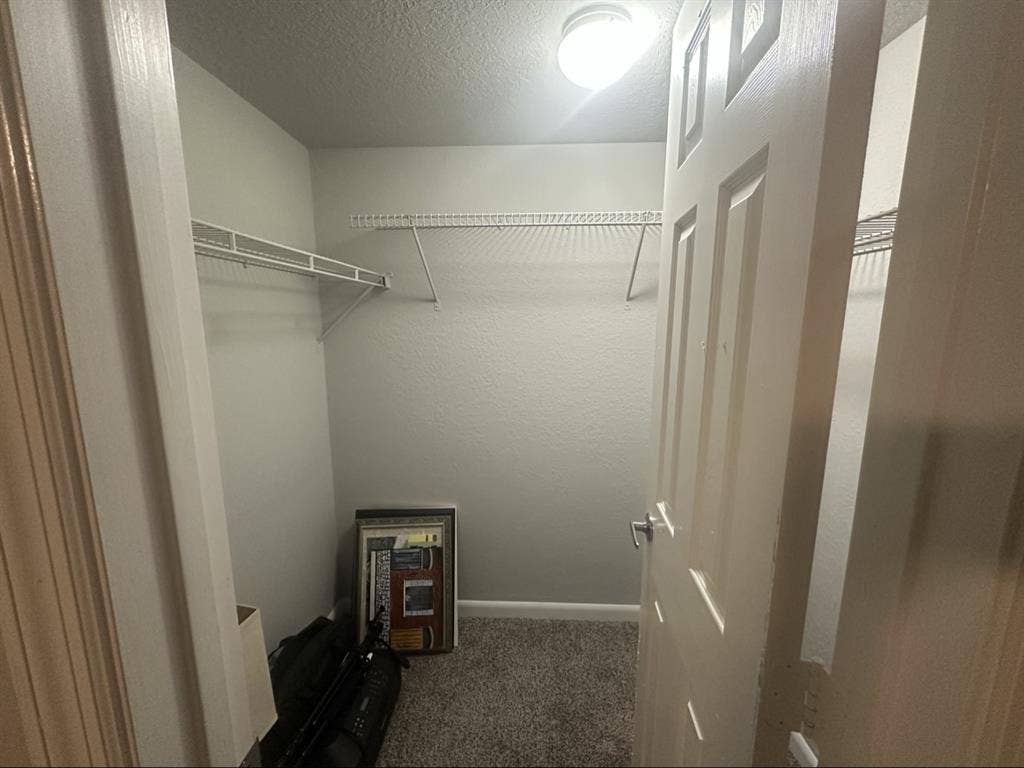 Roommate Wanted