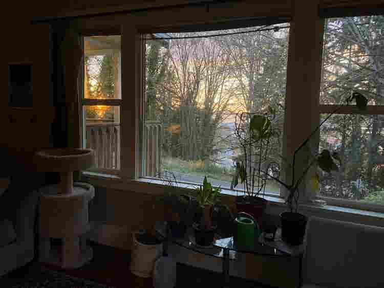 Room for rent on Forest street