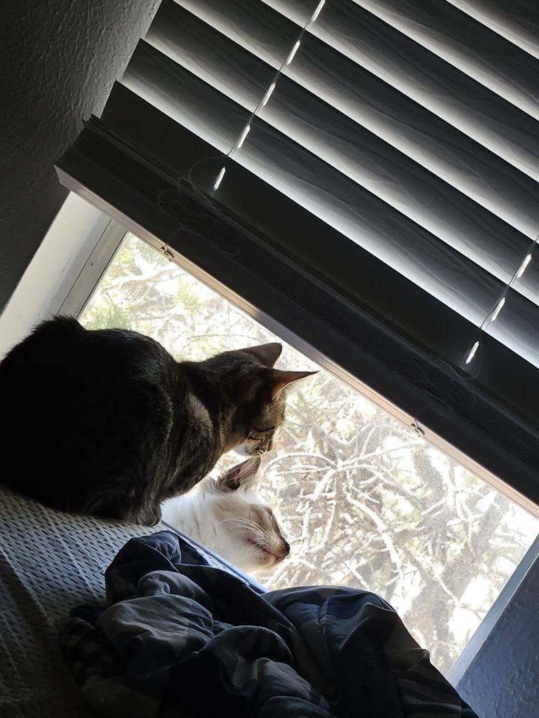 Santa Fe gamer house