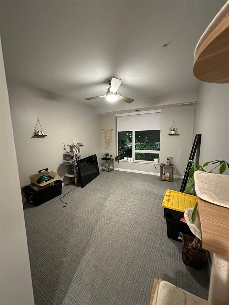 looking for a roommate