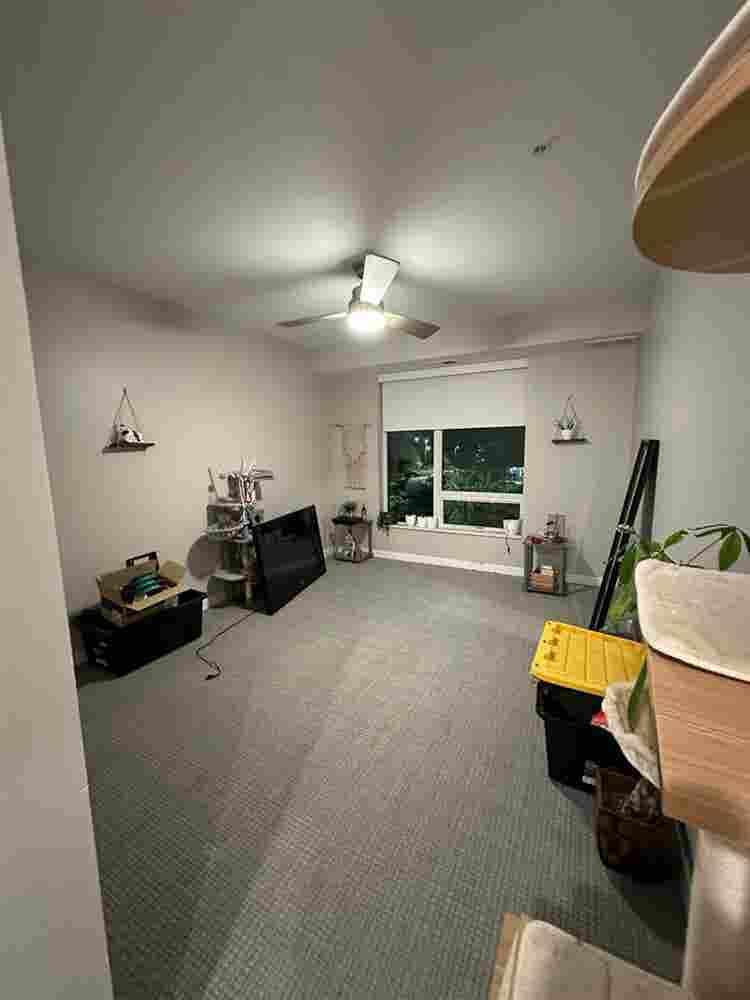 looking for a roommate