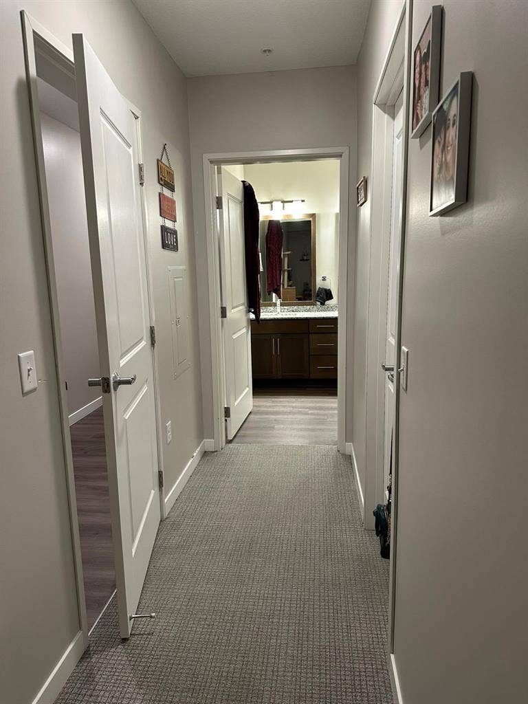 looking for a roommate