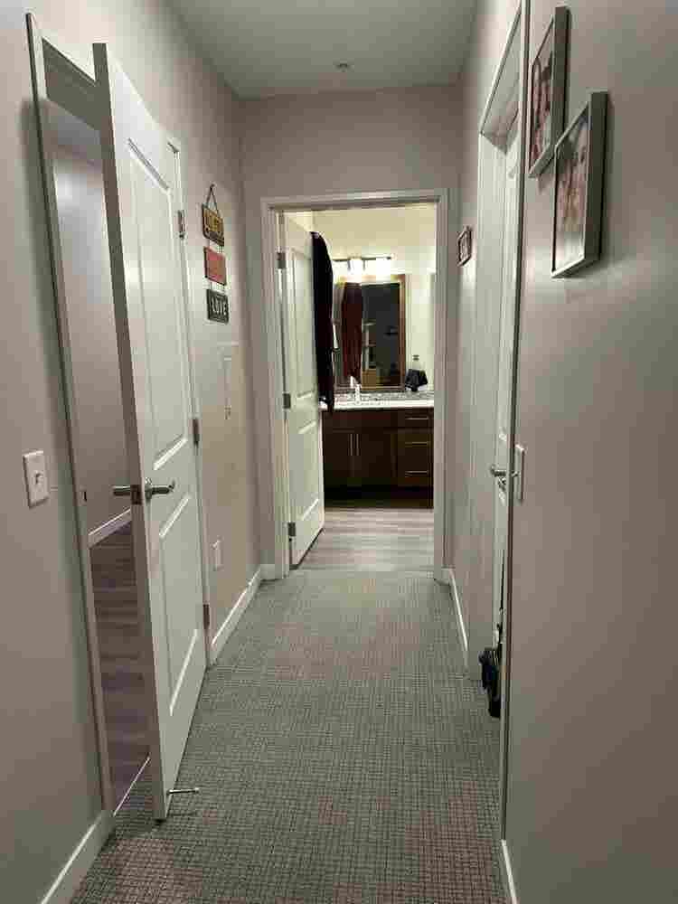 looking for a roommate