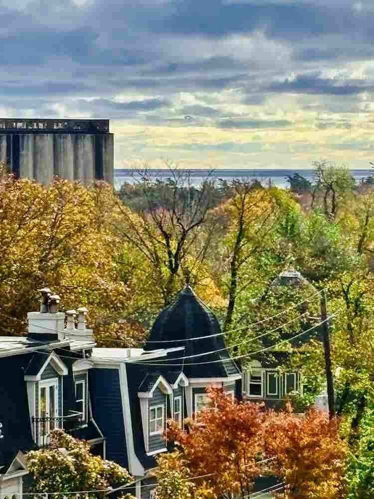 Pet Friendly|Ocean View|South End