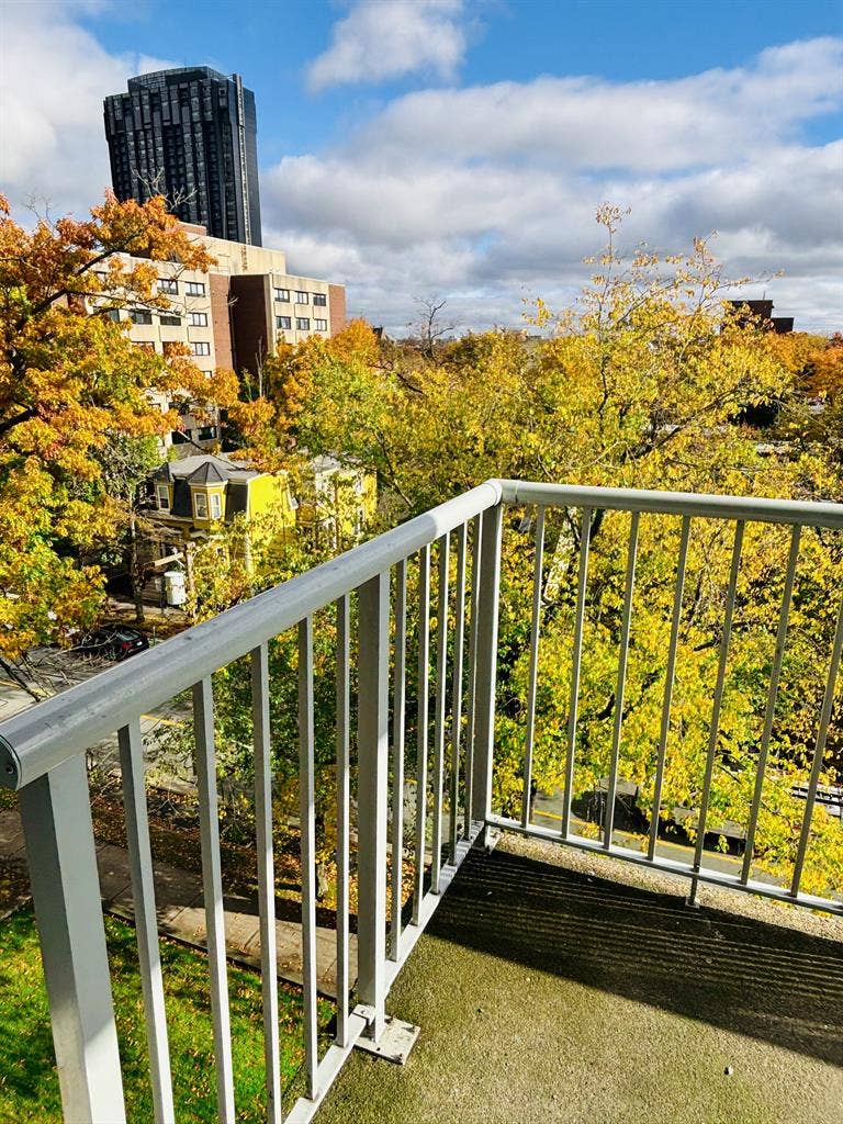 Pet Friendly|Ocean View|South End