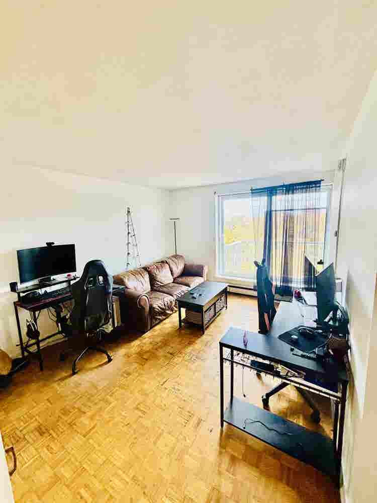 Pet Friendly|Ocean View|South End