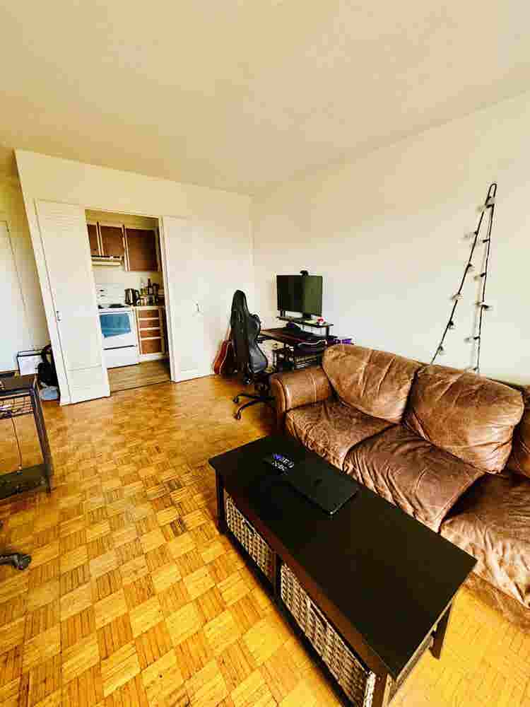 Pet Friendly|Ocean View|South End