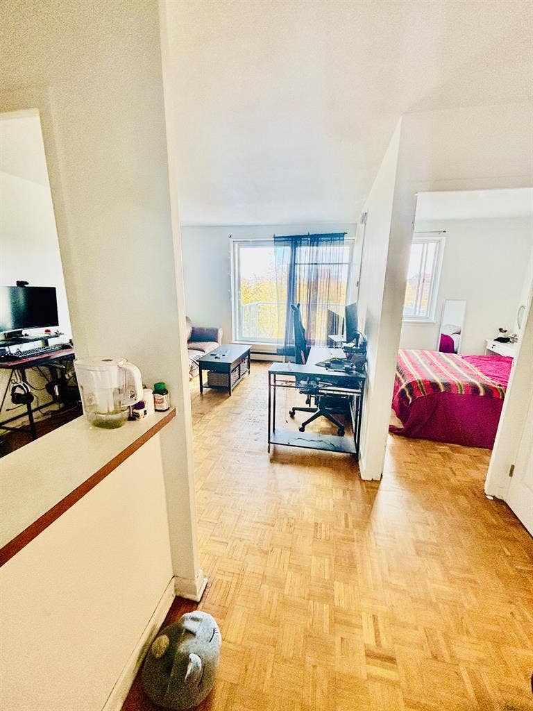 Pet Friendly|Ocean View|South End