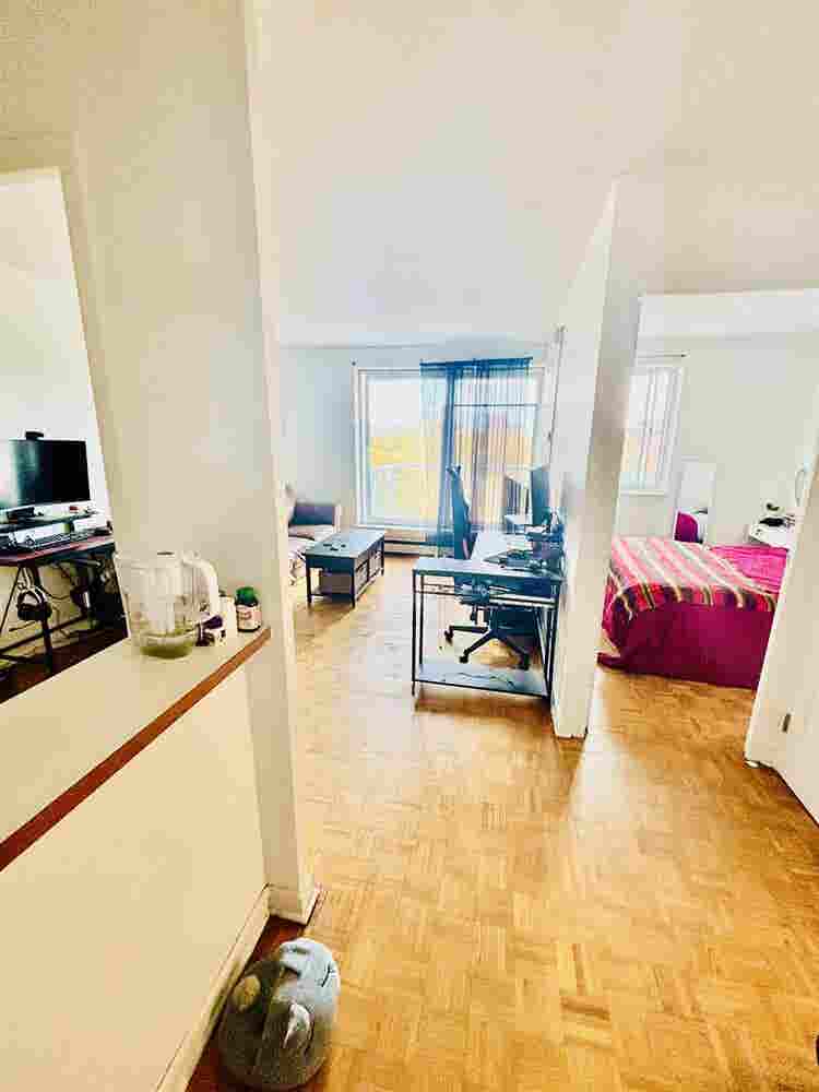 Pet Friendly|Ocean View|South End