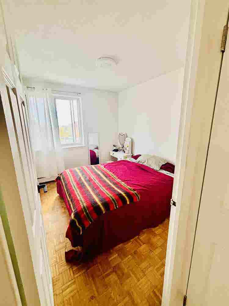 Pet Friendly|Ocean View|South End