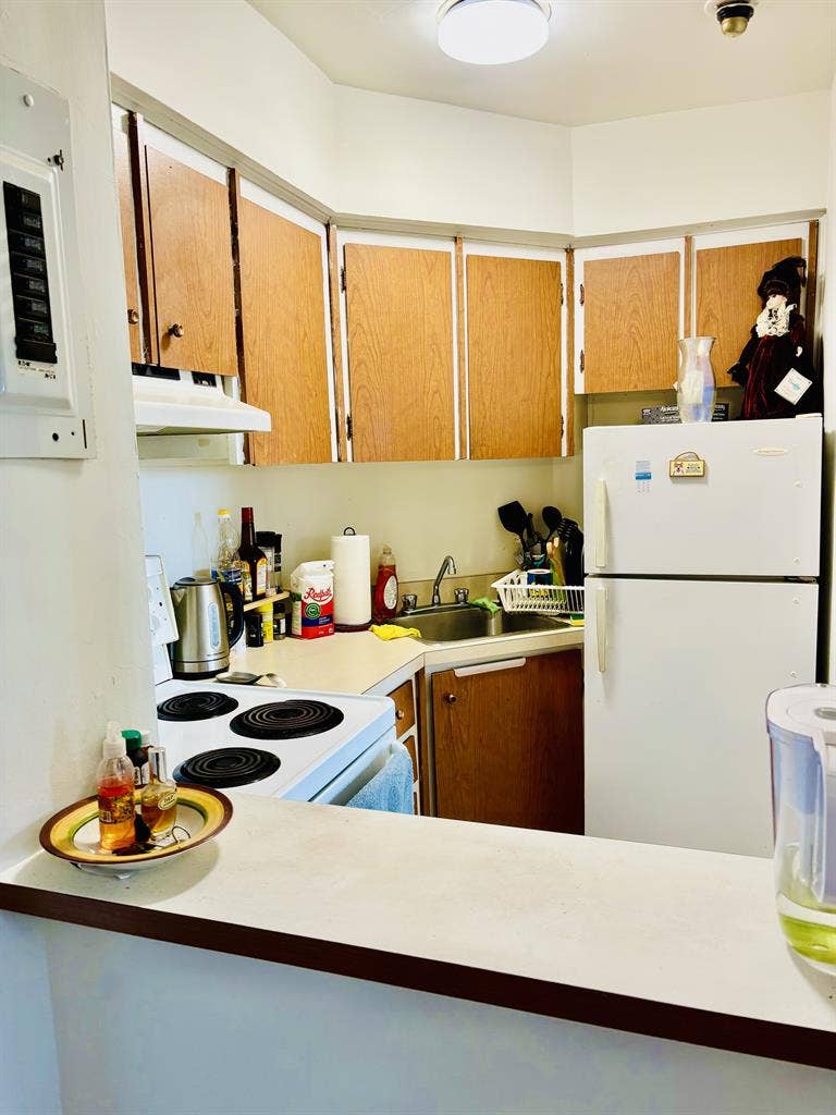 Pet Friendly|Ocean View|South End