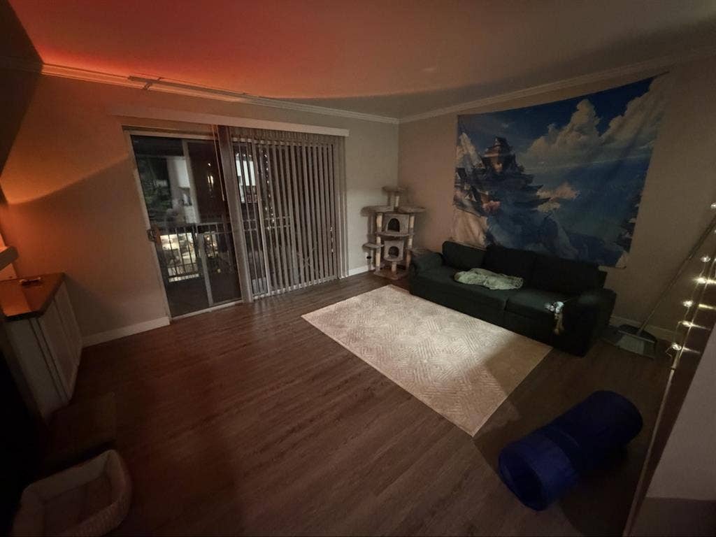 M for roommate SLC downtown