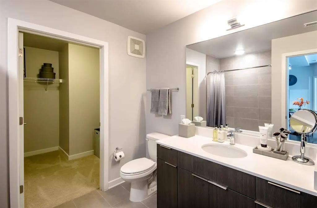 Looking for a Roommate