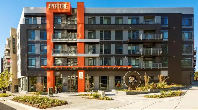 Looking for a Roommate