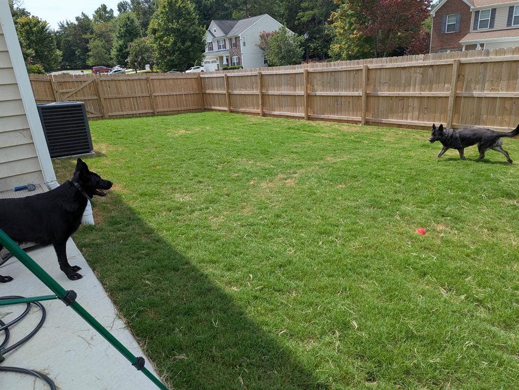 2 Private room for rent