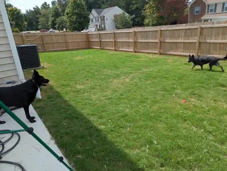 2 Private room for rent