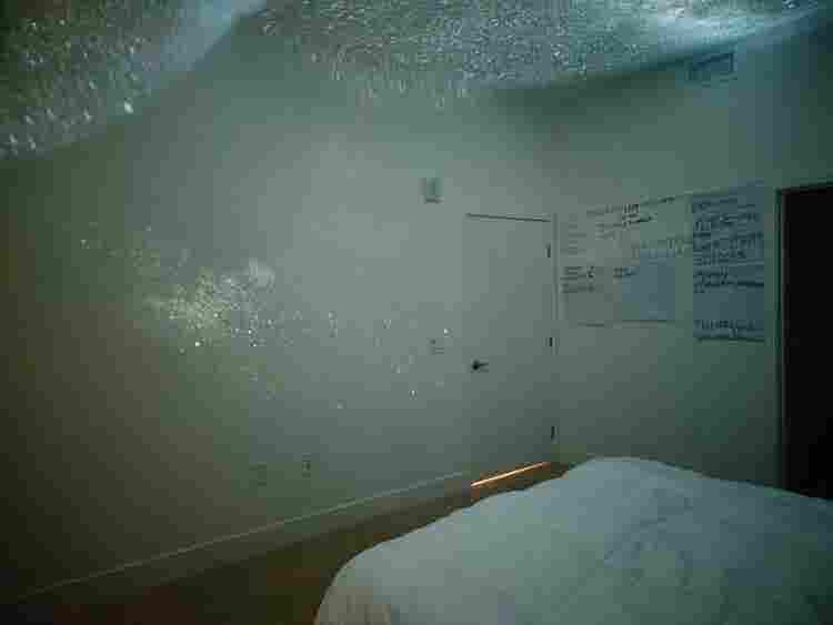 Furnished Room for Rent — Irvine