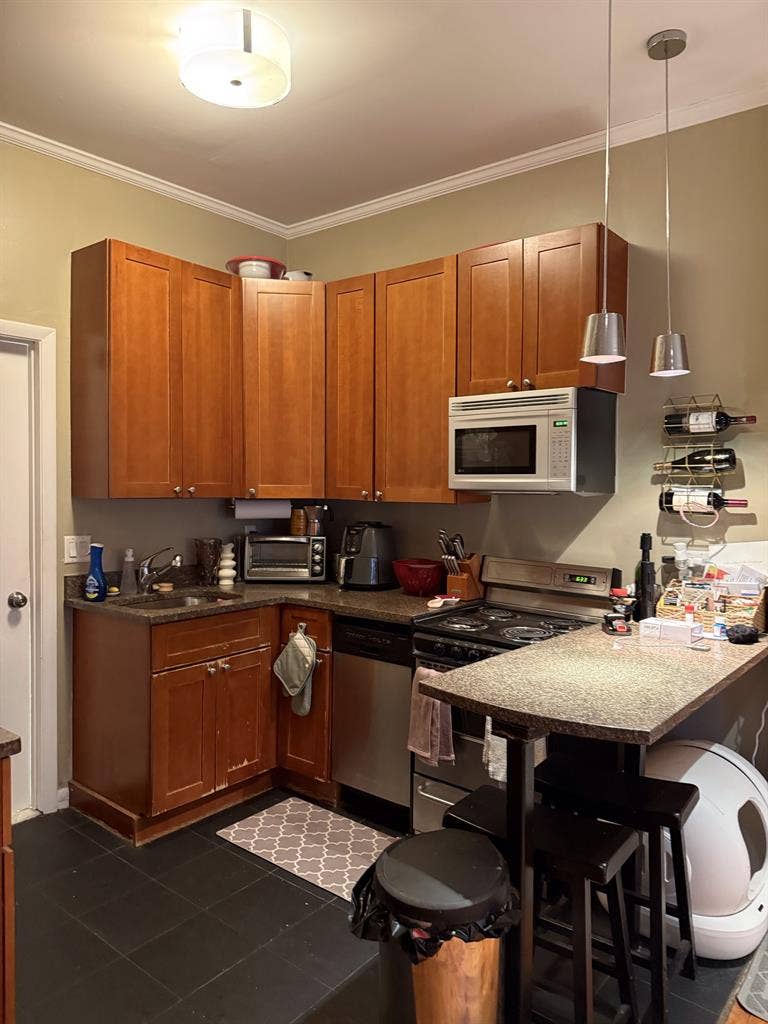 Beautiful 1 bed 
South End