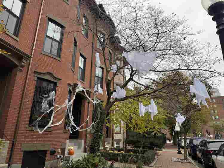 Beautiful 1 bed 
South End