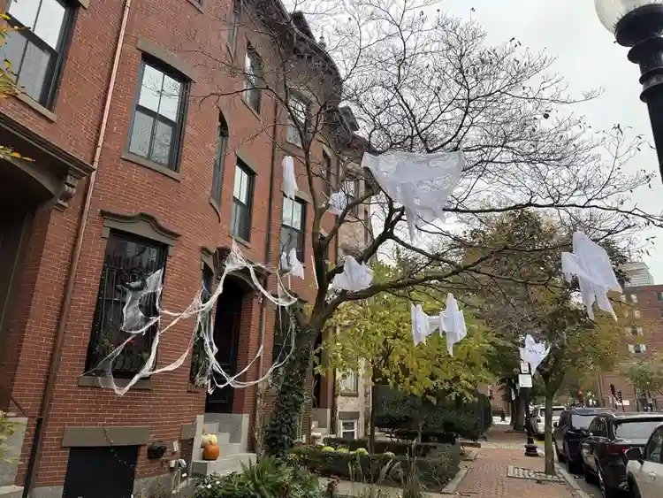 Beautiful 1 bed
South End