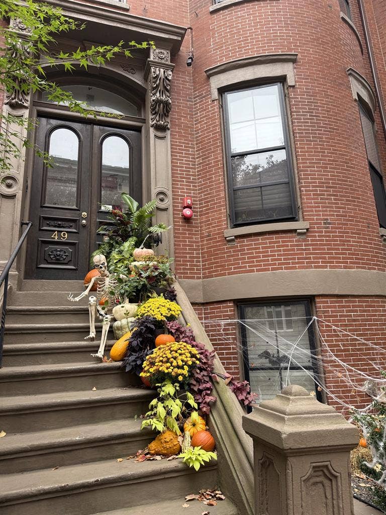 Beautiful 1 bed 
South End