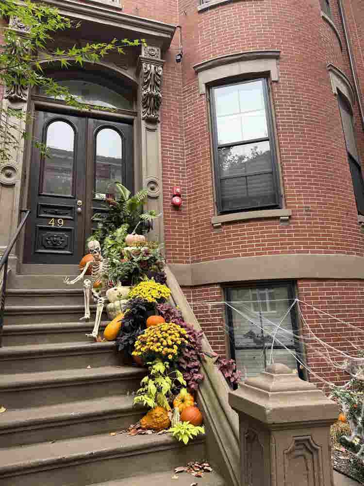 Beautiful 1 bed 
South End