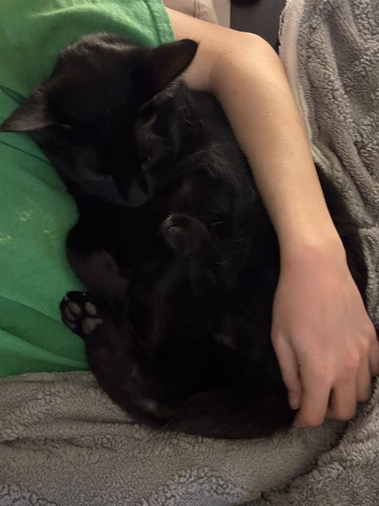 Looking for a Roommate!