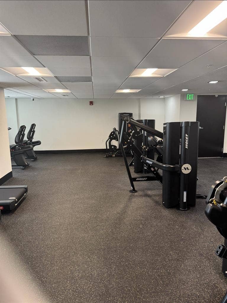 I am Gay Clean and Organized