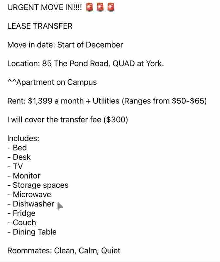 Room for York University Student