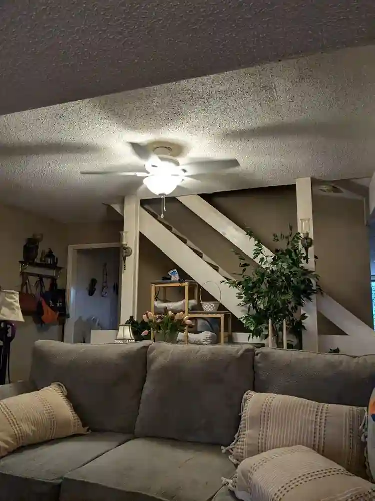 Need roommate in Hoover