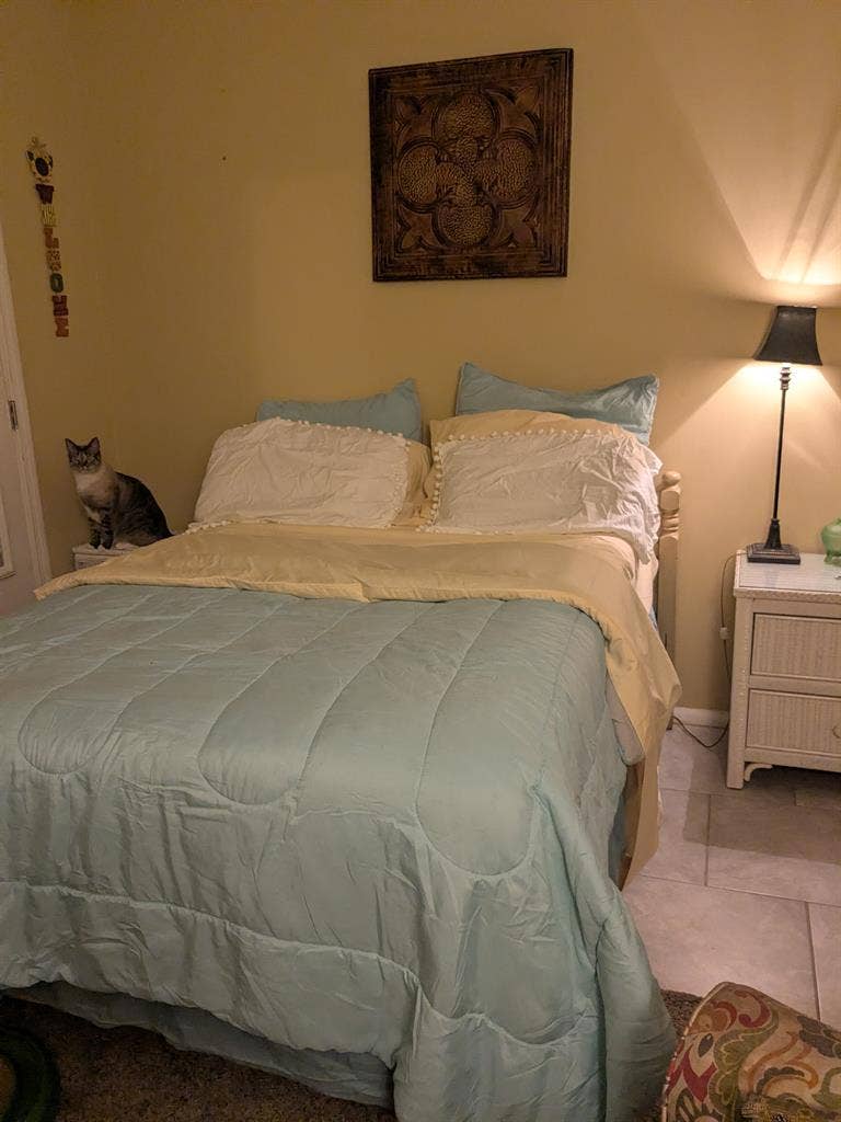 Need roommate in Hoover