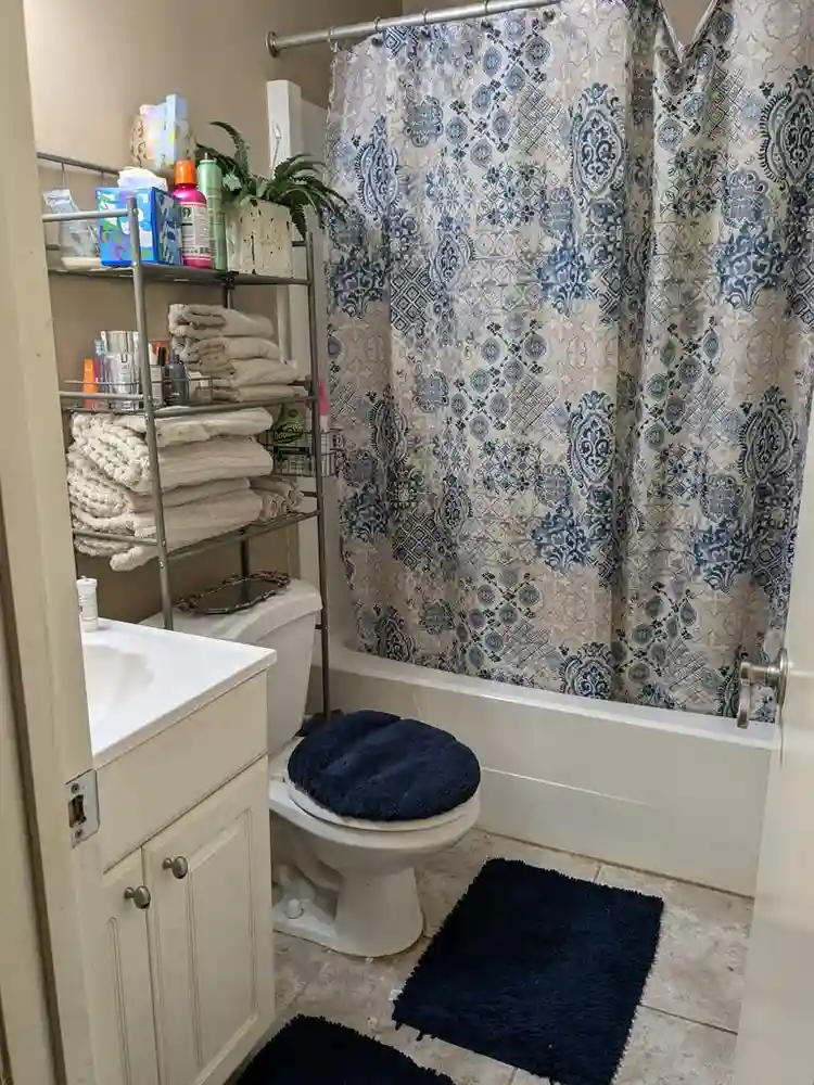 Need roommate in Hoover