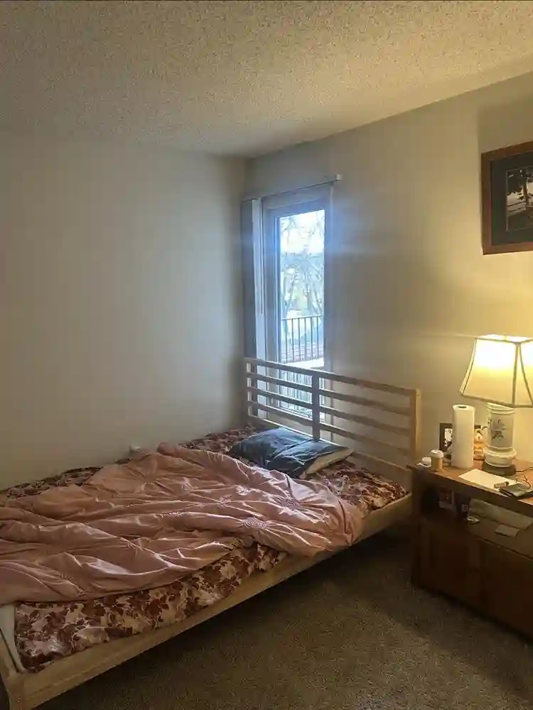 Looking for Roommate