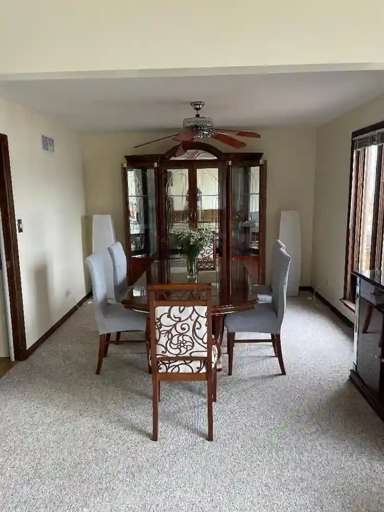 Female tenant needed - large house