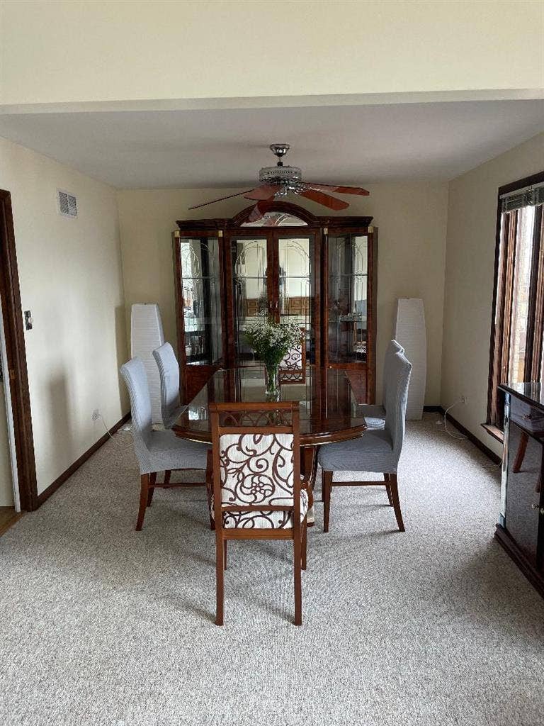 Female tenant needed - large house