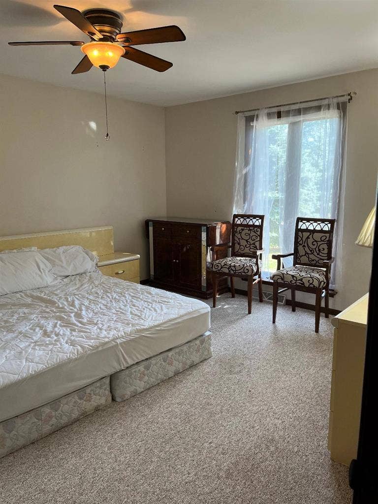 Female tenant needed - large house