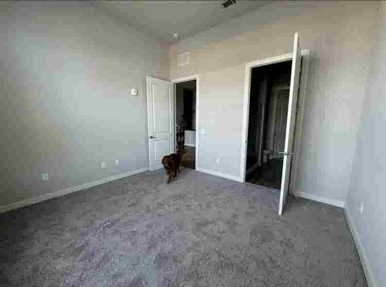 Short-Term Lease!!!✨✨