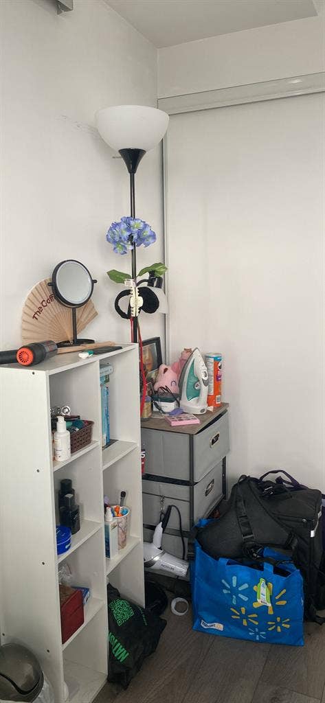 Temporary stay mid mov to jan end