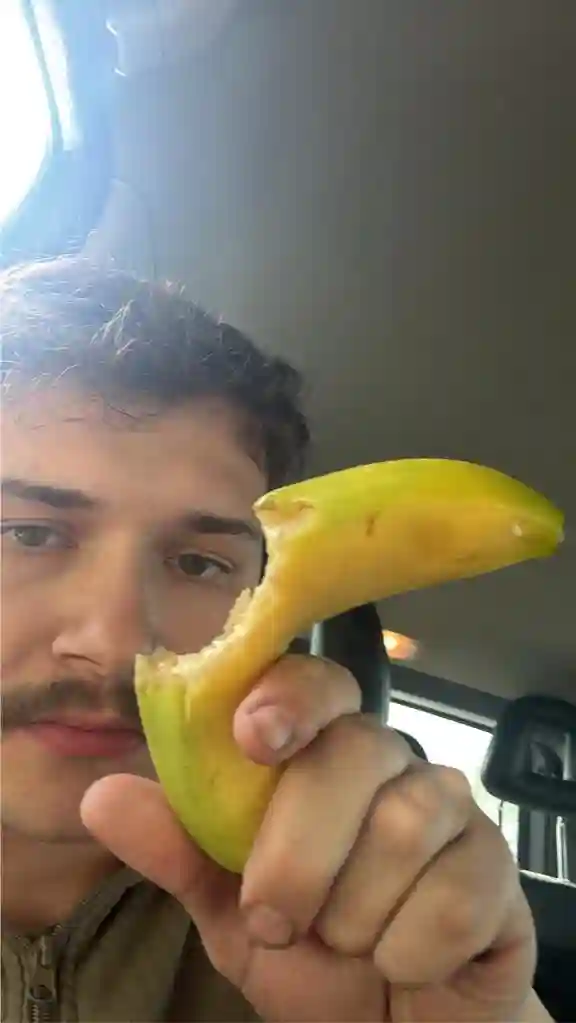 Looking for a roommate