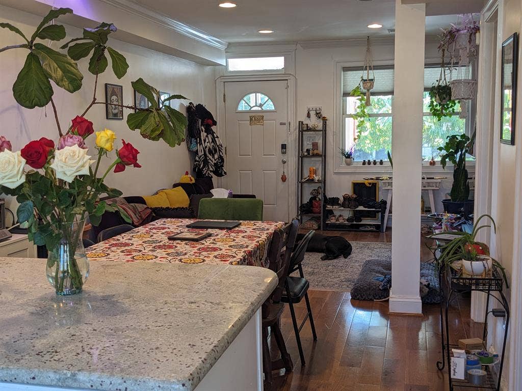 Sunny room in Edgewood rowhouse