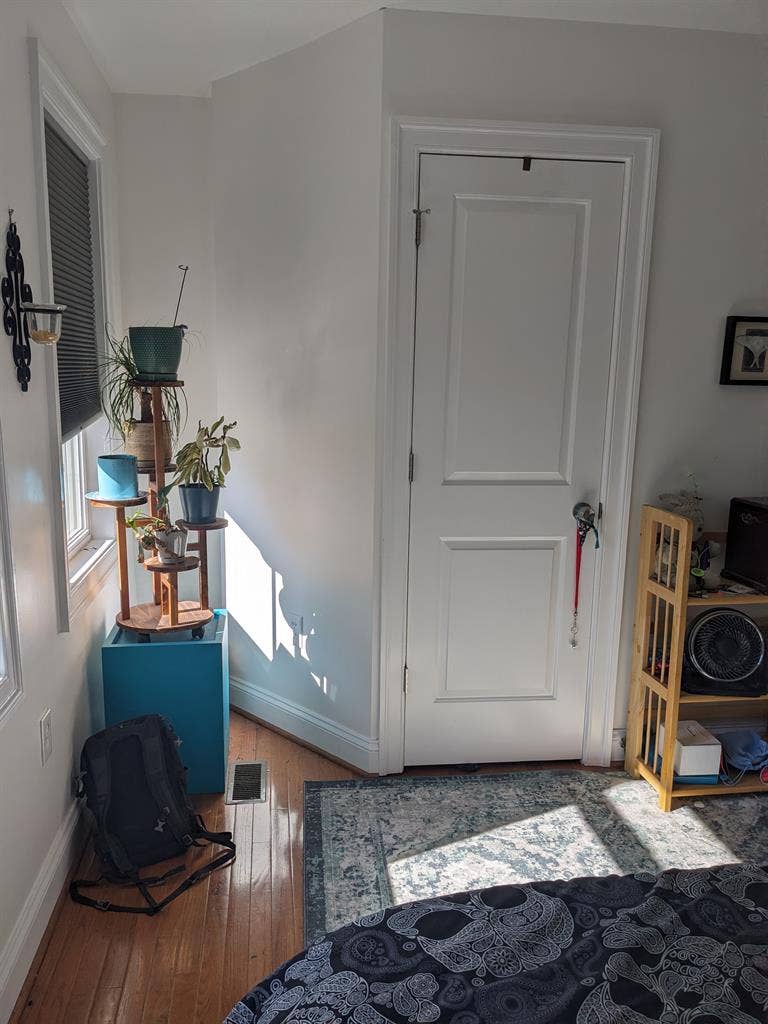 Sunny room in Edgewood rowhouse