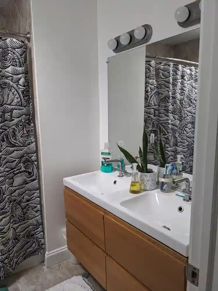 Sunny room in Edgewood rowhouse