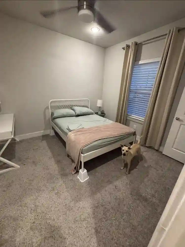 Awesome home in midtown -female or