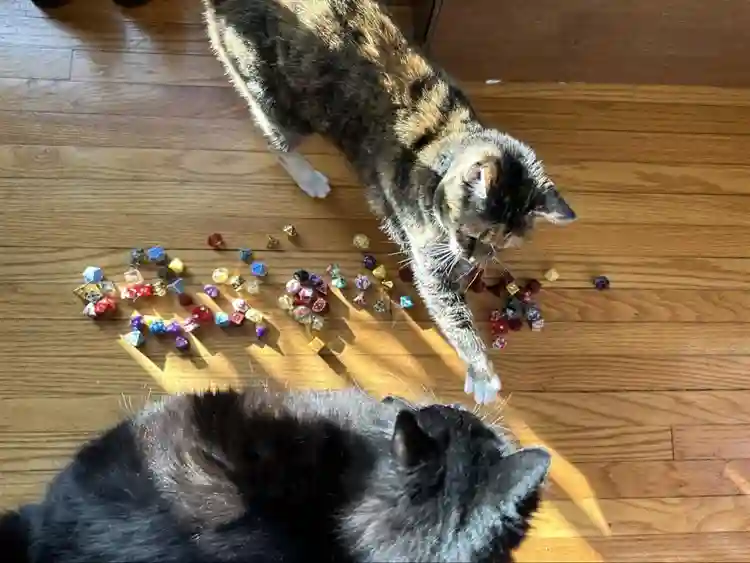 Walkable, safe neighborhood